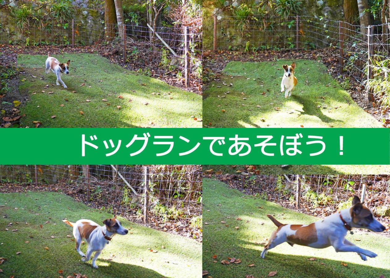 Villa Liberte Hakone Gora Eksteriør billede
